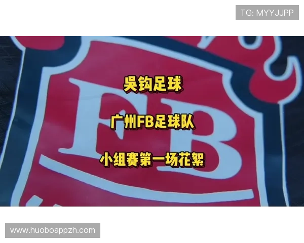 通过FB足球官网掌握全球足球赛事最新资讯与精彩赛事回放，提升你的足球知识