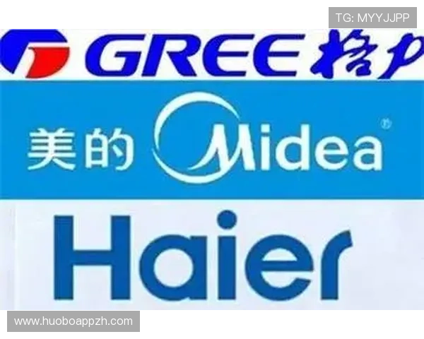 顶盛体育在全球体育市场中的战略布局与竞争优势